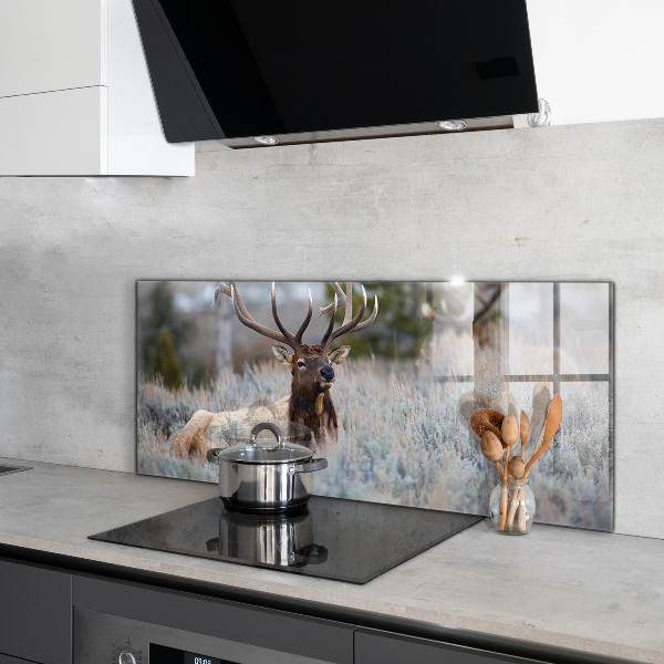 Kitchen splashback Deer wildlife