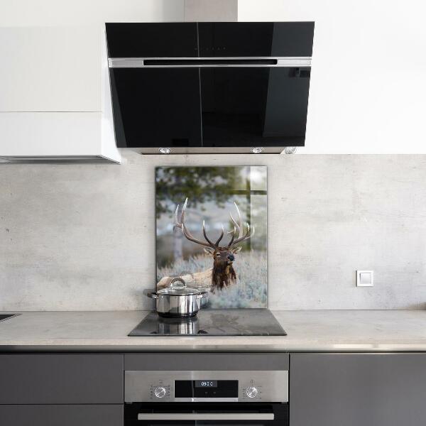 Kitchen splashback Deer wildlife