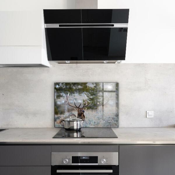 Kitchen splashback Deer wildlife