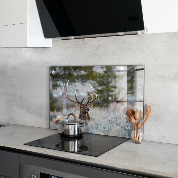 Kitchen splashback Deer wildlife