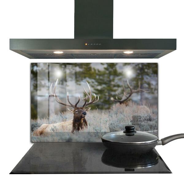 Kitchen splashback Deer wildlife