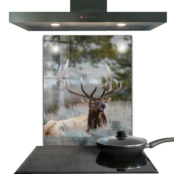 Kitchen splashback Deer wildlife