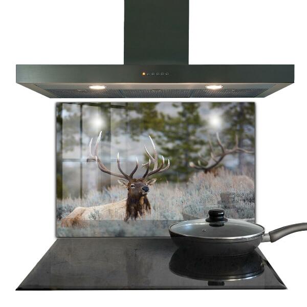 Kitchen splashback Deer wildlife