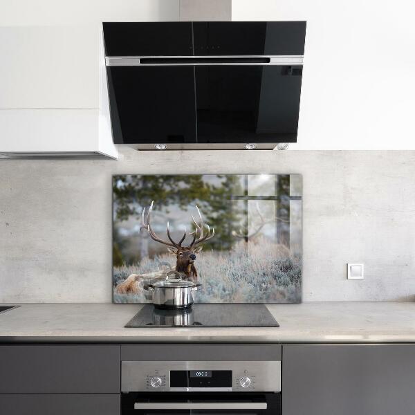 Kitchen splashback Deer wildlife