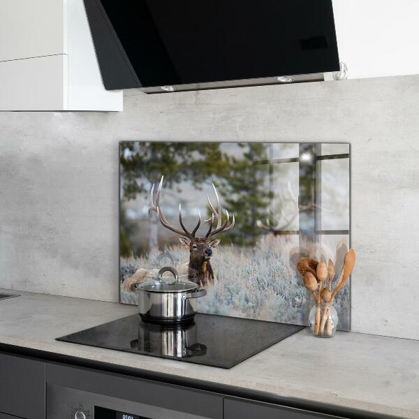 Kitchen splashback Deer wildlife