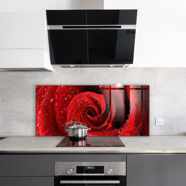 Kitchen splashback Dew drops on a red rose