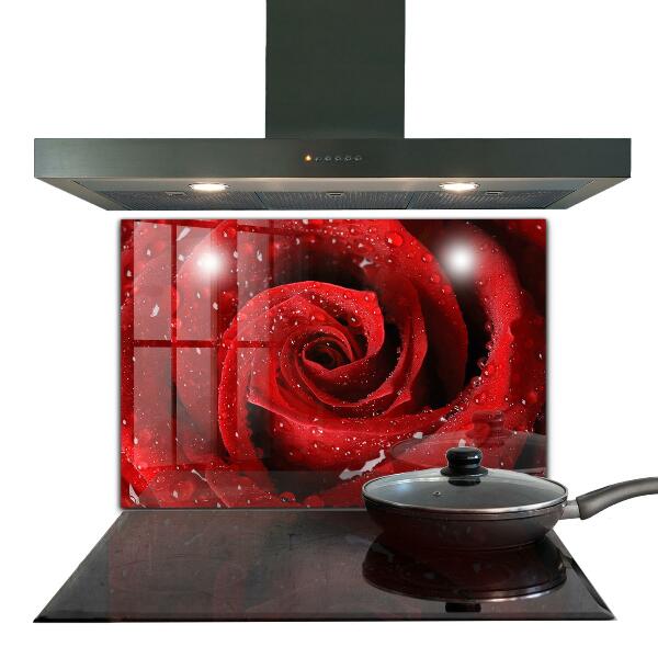 Kitchen splashback Dew drops on a red rose