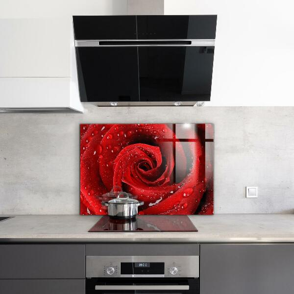 Kitchen splashback Dew drops on a red rose