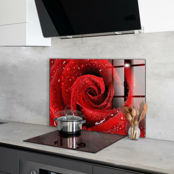 Kitchen splashback Dew drops on a red rose