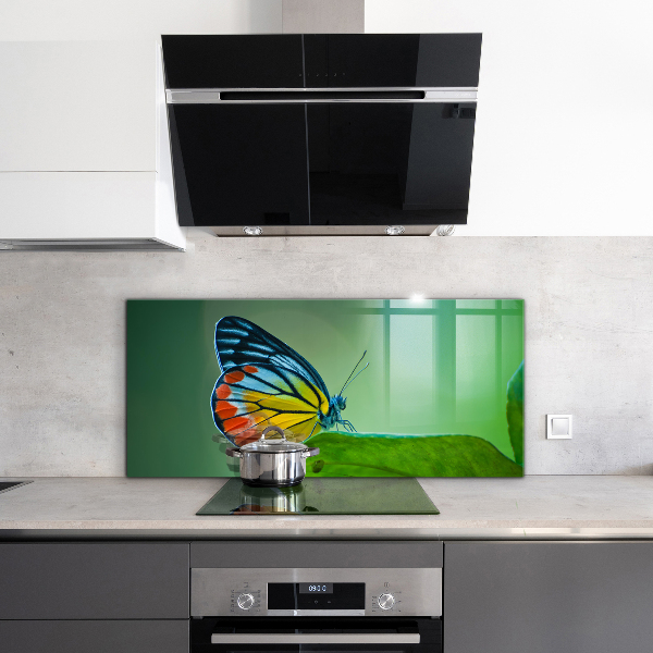 Kitchen splashback Butterfly resting on a leaf