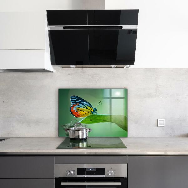 Kitchen splashback Butterfly resting on a leaf