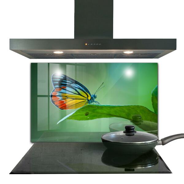 Kitchen splashback Butterfly resting on a leaf