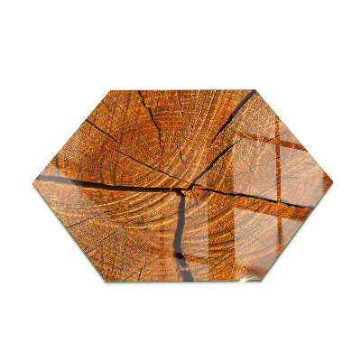 Hexagonal corner glass hearth Wood grain in cross-section