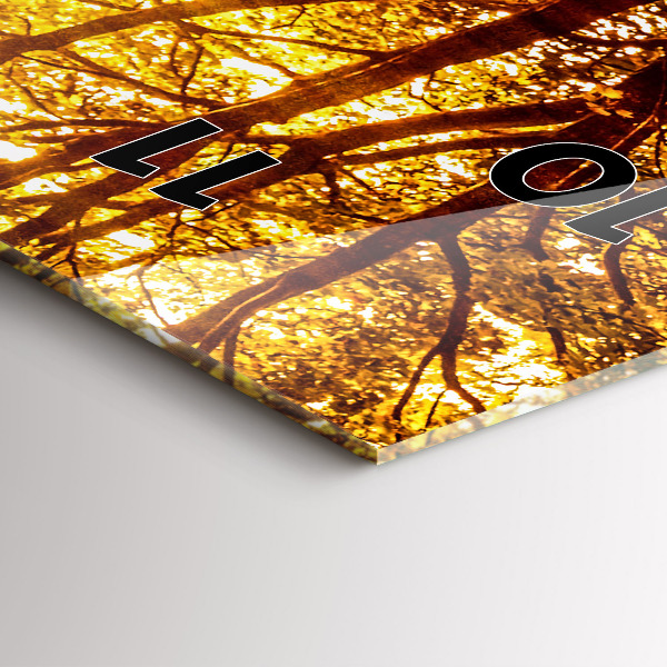 Vertical wall clock Forest landscape in the sun