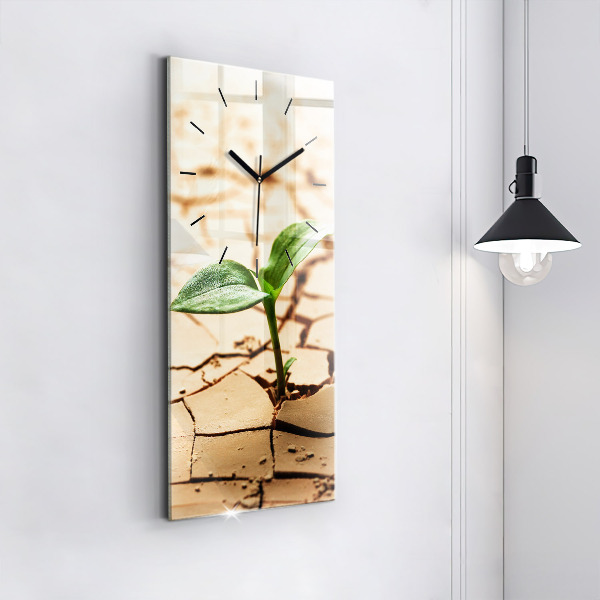 Vertical wall clock Plant in dry soil