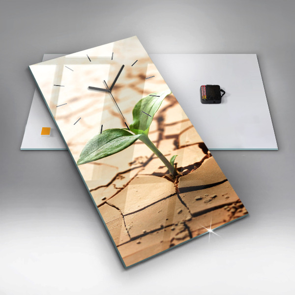 Vertical wall clock Plant in dry soil