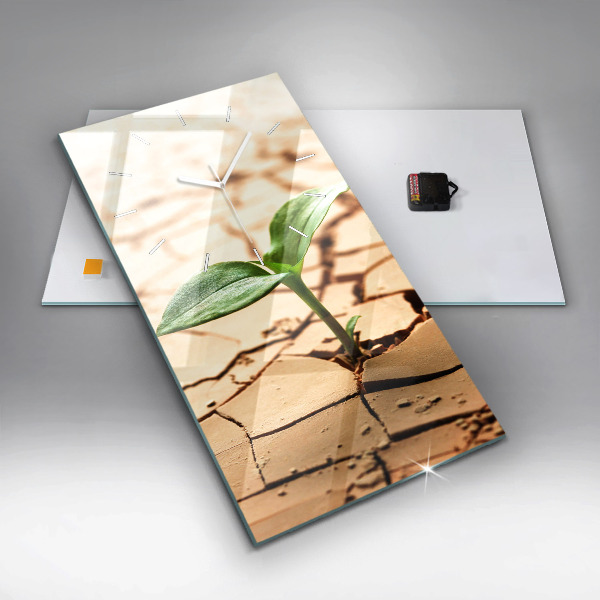 Vertical wall clock Plant in dry soil
