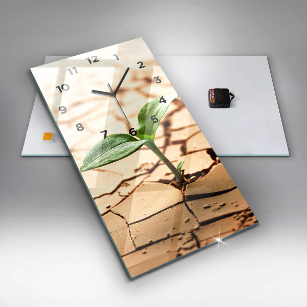 Vertical wall clock Plant in dry soil