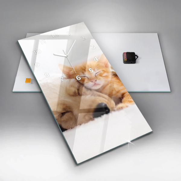 Vertical wall clock Sleeping cat and dog