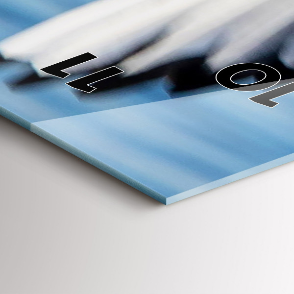 Vertical wall clock Seagulls in Gdynia