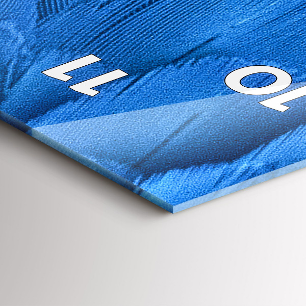 Vertical wall clock Bird feather