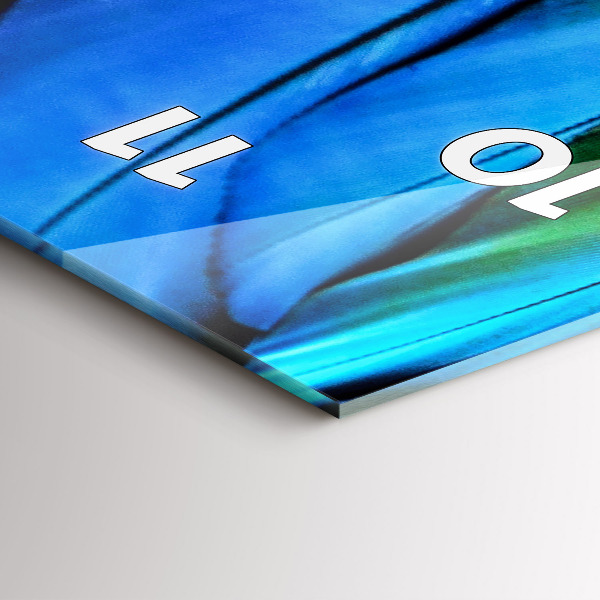 Vertical wall clock Colorful bird wings