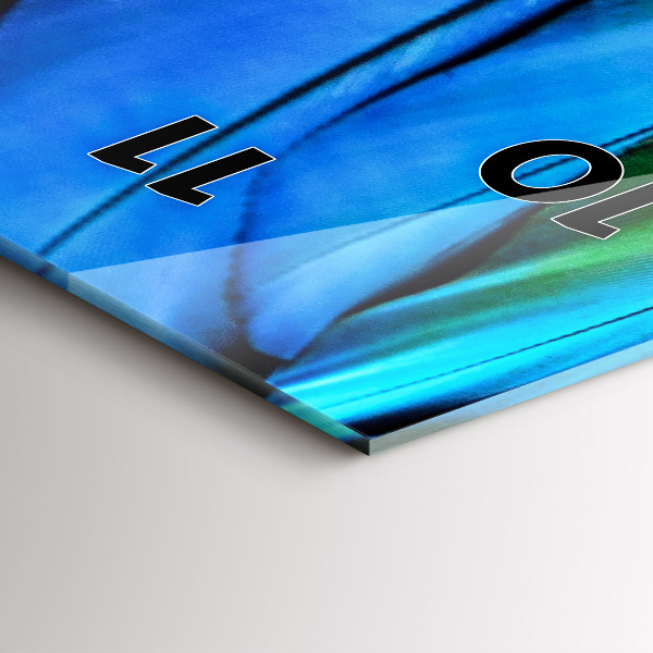 Vertical wall clock Colorful bird wings