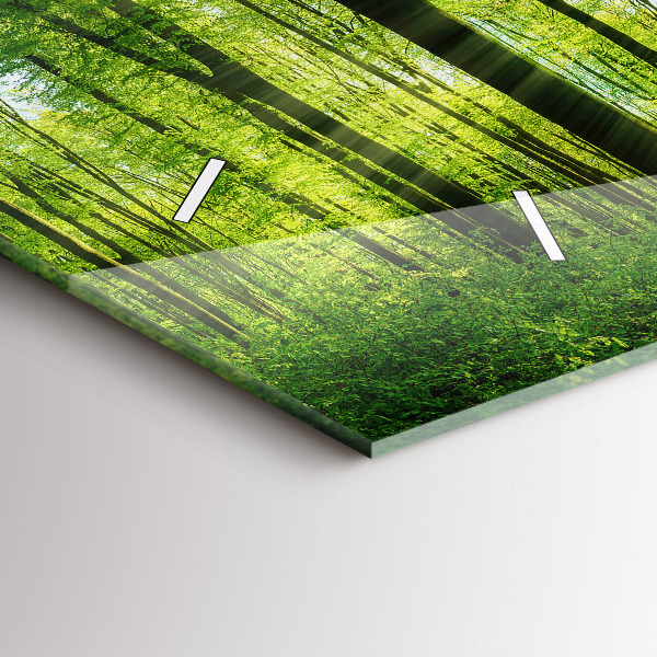 Horizontal wall clock Nature forest trees