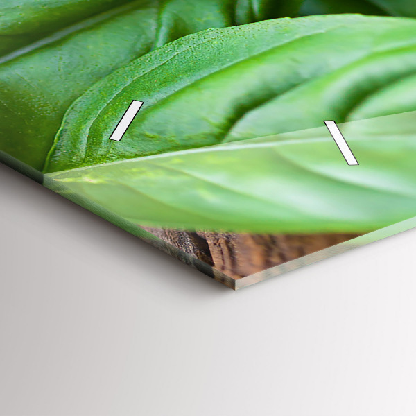 Horizontal wall clock Basil leaves