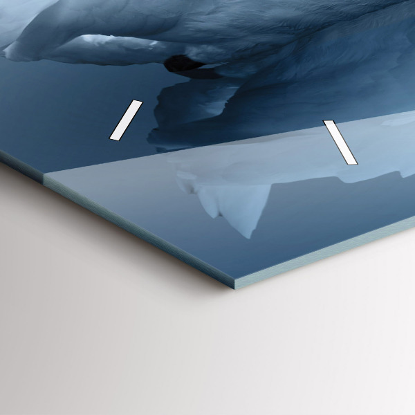 Horizontal wall clock Swans in the heart