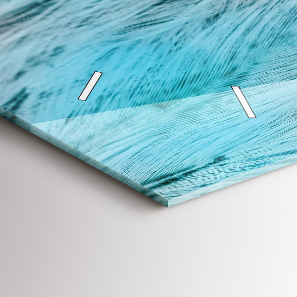 Horizontal wall clock Colorful feathers