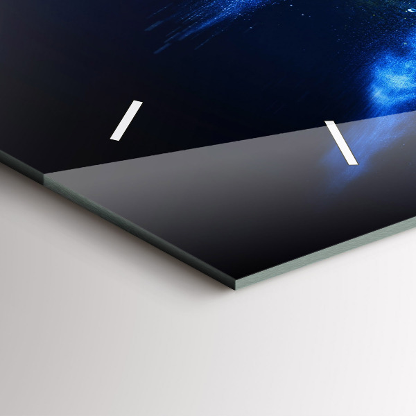 Horizontal wall clock Colorful Parrot