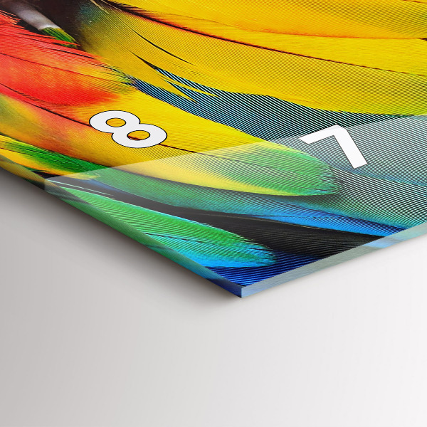 Horizontal wall clock Macaw Bird Colorful Wings