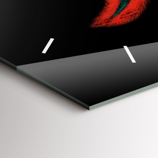 Horizontal wall clock Colorful Bird Feathers