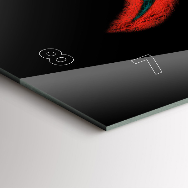 Horizontal wall clock Colorful Bird Feathers