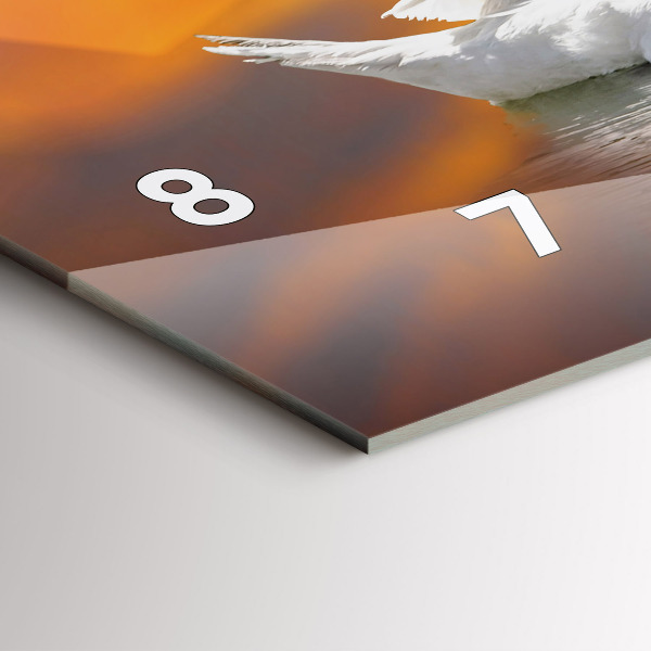 Horizontal wall clock Swans in Love