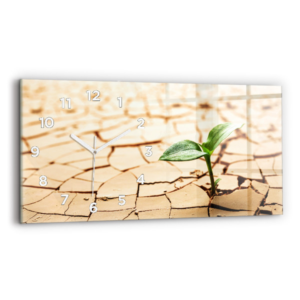 Horizontal wall clock A plant in dried-out soil