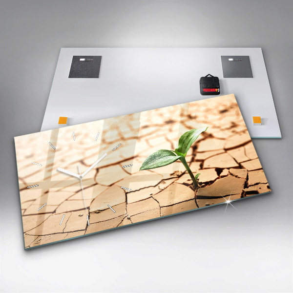 Horizontal wall clock A plant in dried-out soil