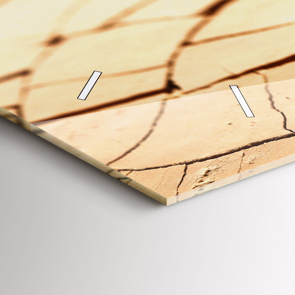 Horizontal wall clock A plant in dried-out soil