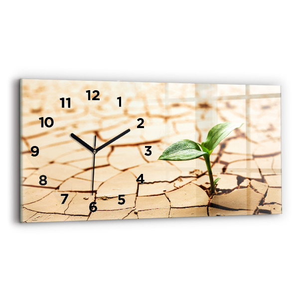 Horizontal wall clock A plant in dried-out soil
