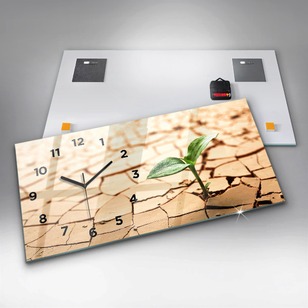 Horizontal wall clock A plant in dried-out soil