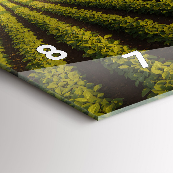 Horizontal wall clock Tractor spraying a field