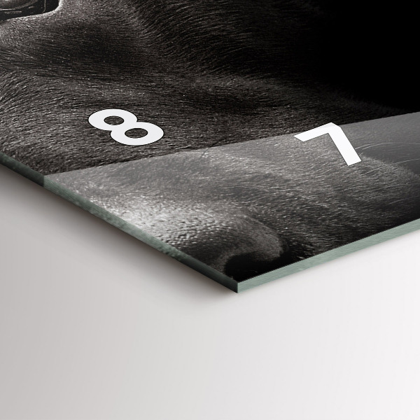 Horizontal wall clock Scottish Fold Dog and Cat