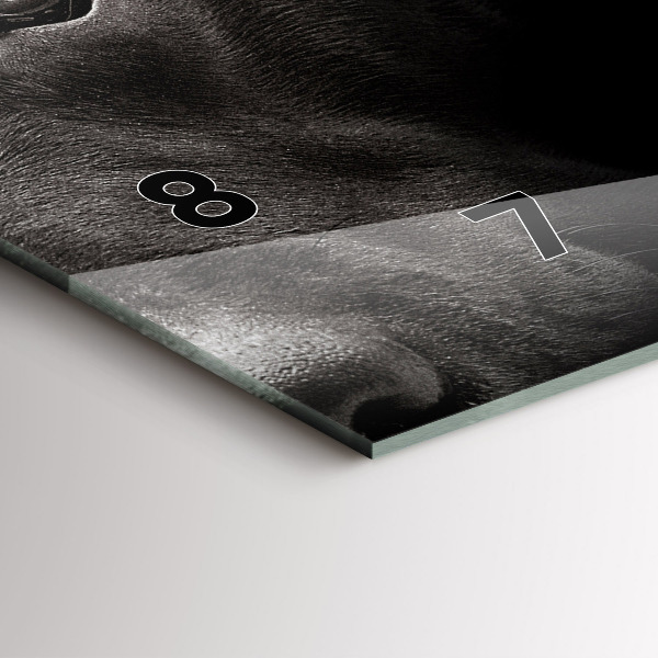 Horizontal wall clock Scottish Fold Dog and Cat