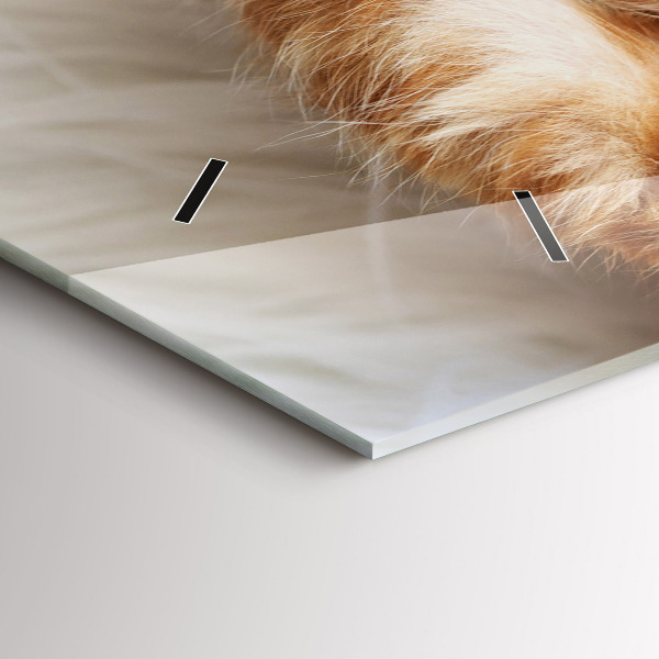 Horizontal wall clock Little Sleeping Kitten