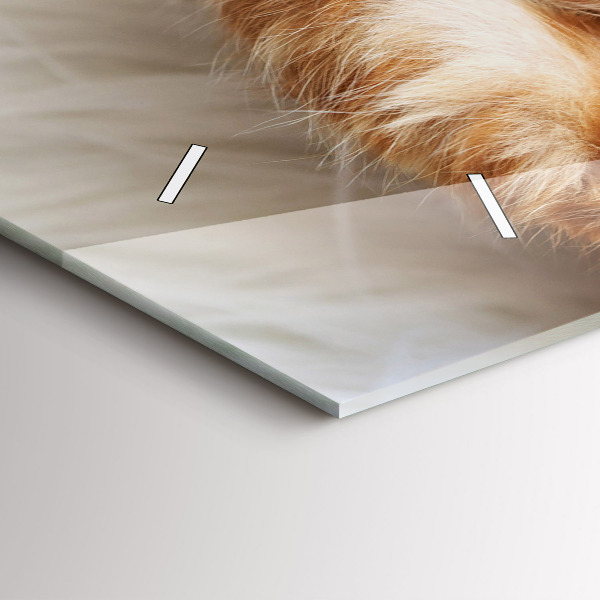 Horizontal wall clock Little Sleeping Kitten