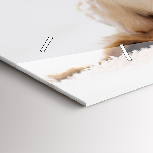 Horizontal wall clock Sleeping cat and dog