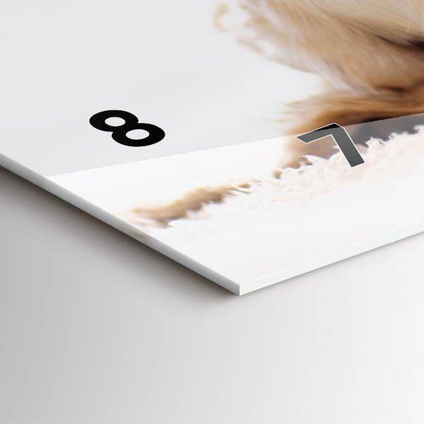 Horizontal wall clock Sleeping cat and dog