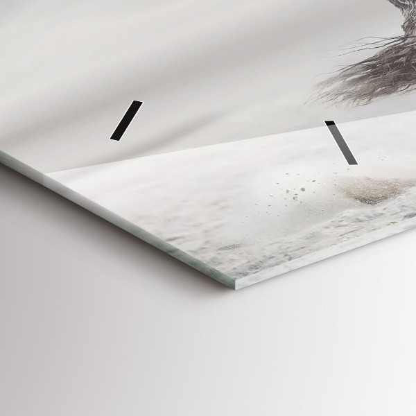 Horizontal wall clock Galloping white horse