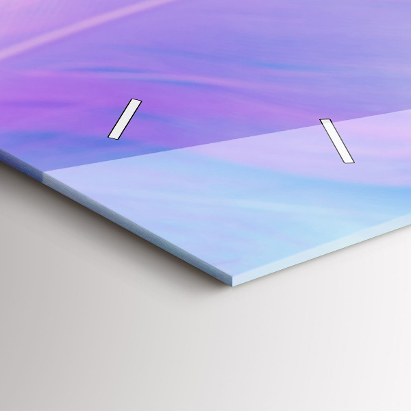 Horizontal wall clock Colorful feathers